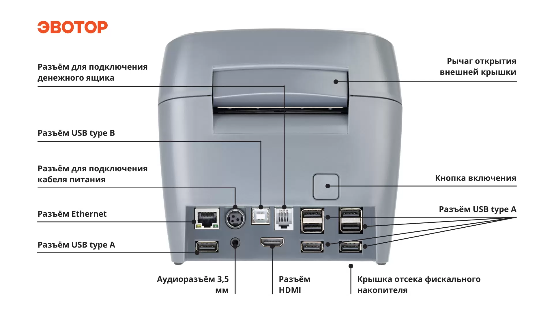 Фотография природы